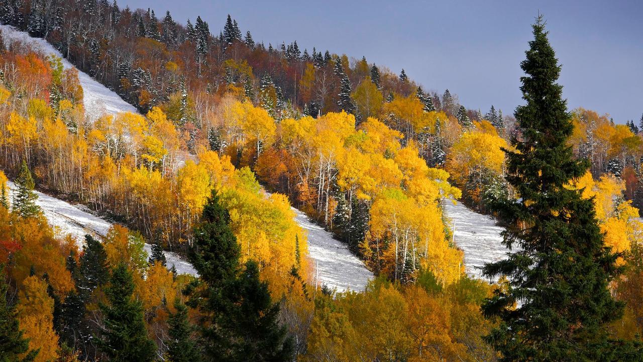 Le Bivouac - Les Chalets Spa Canada La Malbaie Exteriör bild