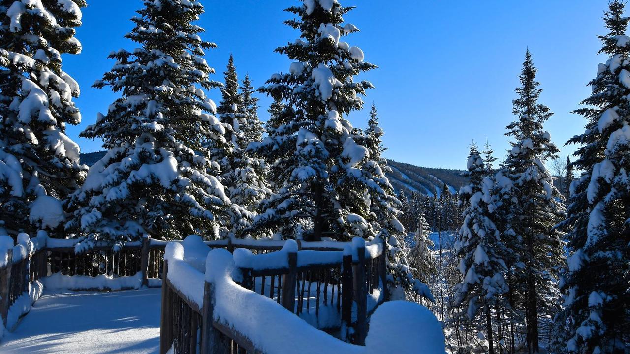 Le Bivouac - Les Chalets Spa Canada La Malbaie Exteriör bild